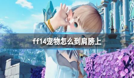 《ff14》宠物怎么到肩膀上？