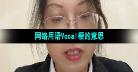 《抖音》网络用语Vocal梗的意思介绍